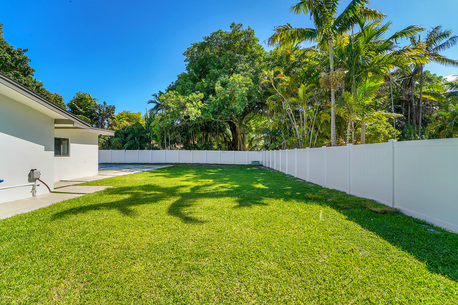 Lush tropical side yard